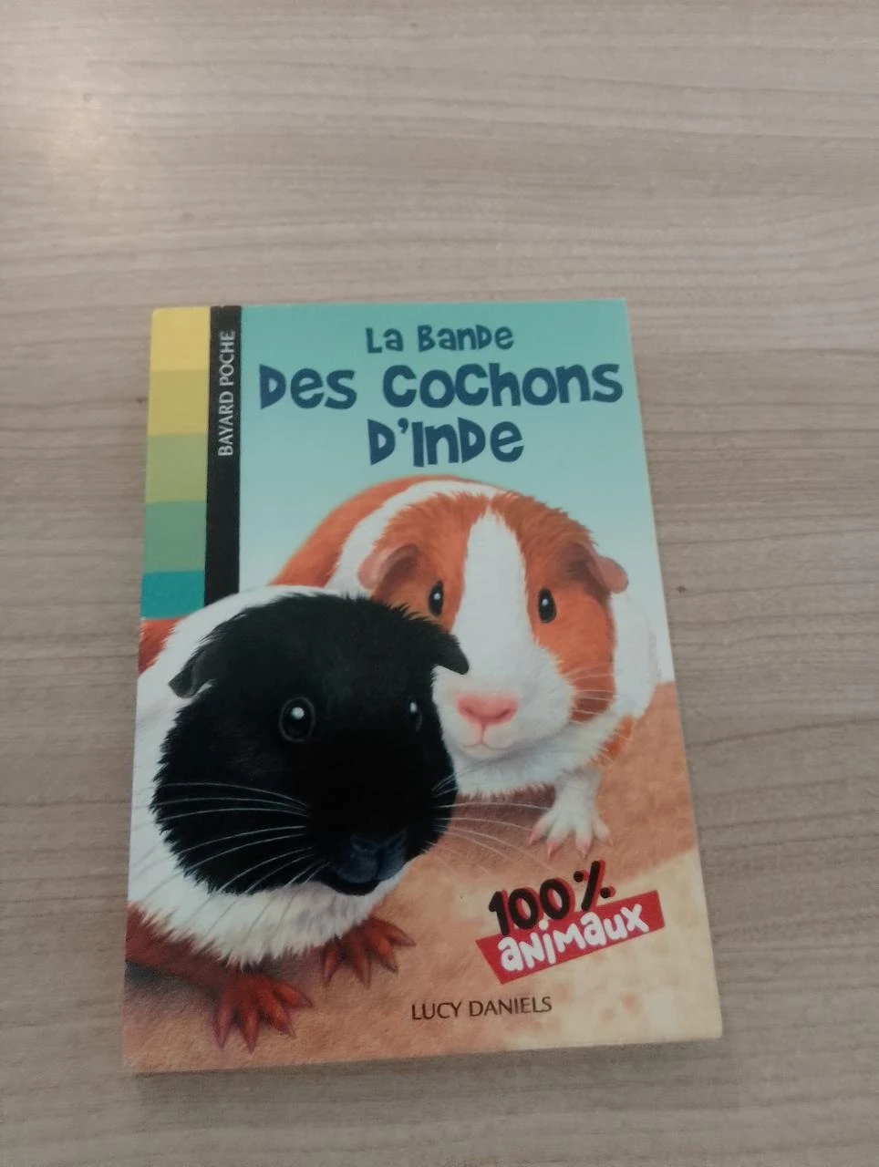 100% Animaux : La bande des cochons d'Inde